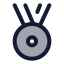 Medal icon with duotone standard style