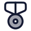 Medal icon with duotone rounded style