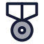 Medal icon with duotone standard style