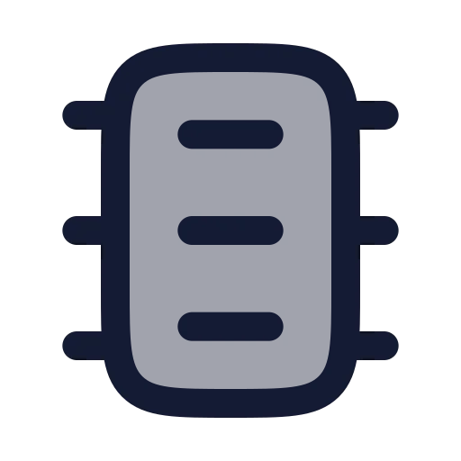 Microchip Icon in Duotone Rounded style