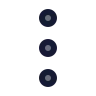 More Vertical Circle 01 icon preview