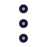 More Vertical Circle 01 icon preview
