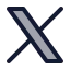 Newtwitter icon with duotone rounded style