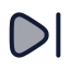 Next icon with duotone rounded style