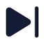 Next icon with solid standard style