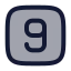 Ninesquare icon with duotone rounded style