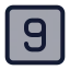 Ninesquare icon with duotone standard style