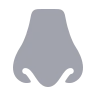 Nose icon preview