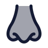 Nose icon preview