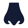 Nose icon preview