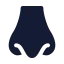 Nose icon with solid standard style