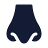 Nose icon preview
