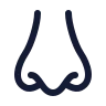 Nose icon preview