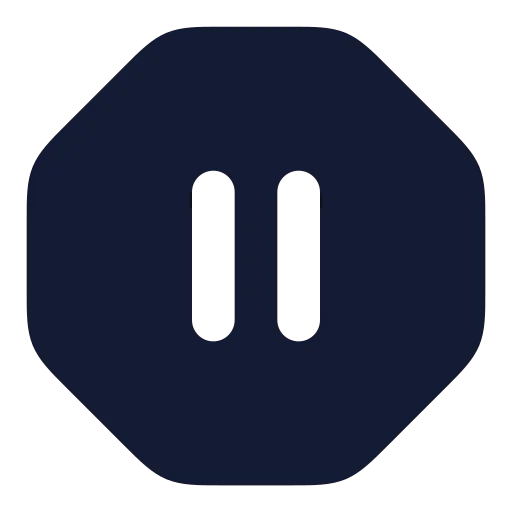 Octagon Pause Icon in Solid Rounded style