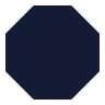 Octagon icon preview