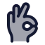 Okfinger icon with duotone rounded style