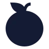 Orange icon preview