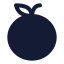 Orange icon with solid standard style