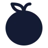 Orange icon preview