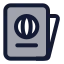 Passport icon with duotone standard style