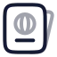 Passport icon with twotone rounded style