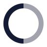 Payoneer icon preview
