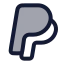 Paypal icon with duotone rounded style