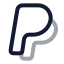 Paypal icon with twotone rounded style