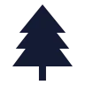 Pine Tree icon preview