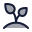 Plant icon with duotone rounded style