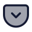 Pocket icon with duotone standard style