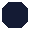 Polygon icon preview