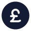 Poundcircle icon with solid standard style