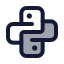 Python icon with duotone standard style