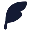 Quillwrite icon with solid standard style