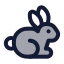 Rabbit icon with duotone standard style