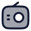 Radio icon with duotone rounded style