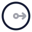 Radius icon with twotone rounded style