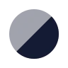 Record icon preview