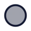 Record icon with duotone rounded style