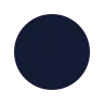 Record icon preview