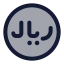 Riyal icon with duotone standard style