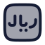 Riyalrectangle icon with duotone rounded style
