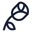Rose icon with stroke sharp style