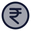 Rupeecircle icon with duotone rounded style
