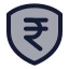 Rupeeshield icon with duotone standard style