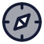 Safari icon with duotone standard style