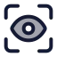Scaneye icon with duotone standard style