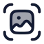 Scanimage icon with duotone rounded style