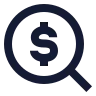 Search Dollar icon preview